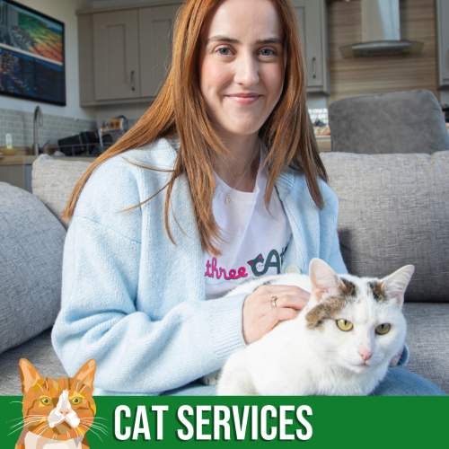 Cat Services